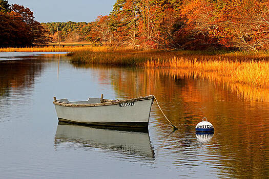 Juergen Roth - Cape Cod Fall Foliage Juergen Roth - Cape Cod Fall Foliage