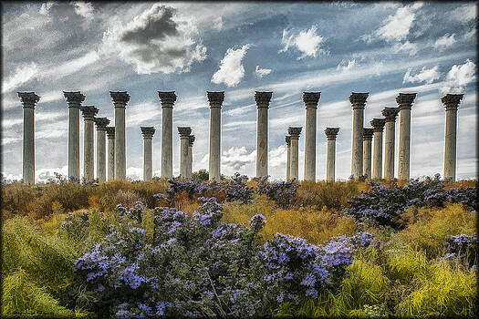 Erika Fawcett - Capitol Columns in Watercolor Erika Fawcett - Capitol Columns in Watercolor