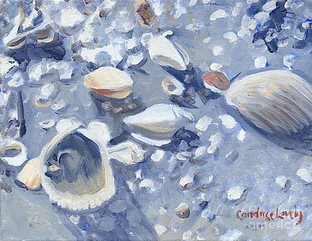 Candace Lovely - Casey Key Shells Candace Lovely - Casey Key Shells