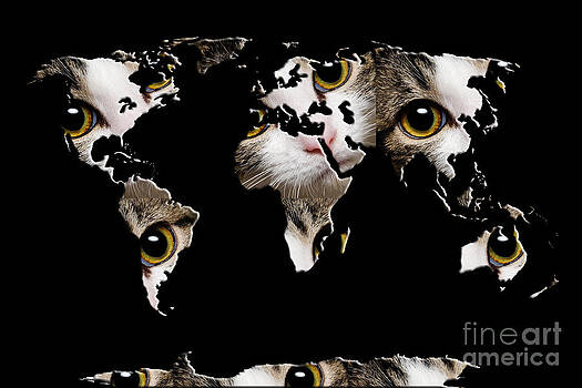 Andee Design - Cat Eyes World Map 2 Andee Design - Cat Eyes World Map 2