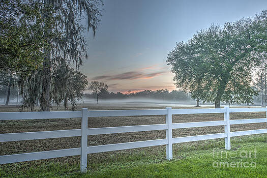 Dale Powell - Charleston Fog Dale Powell - Charleston Fog
