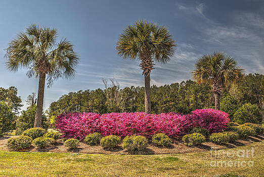 Dale Powell - Charleston in the Spring Dale Powell - Charleston in the Spring