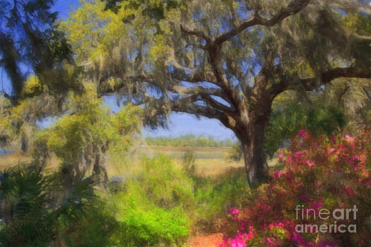 Jill Lang - Charleston South Carolina Jill Lang - Charleston South Carolina