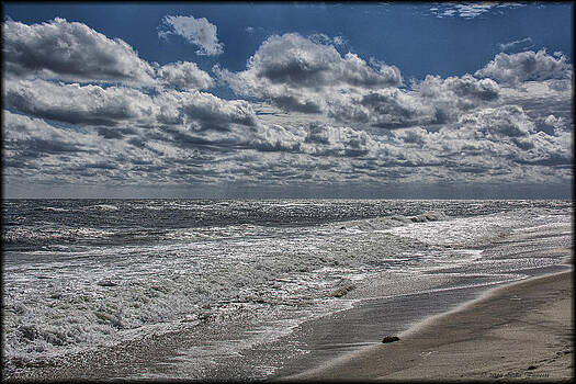 Erika Fawcett - Chincoteague Beach Erika Fawcett - Chincoteague Beach