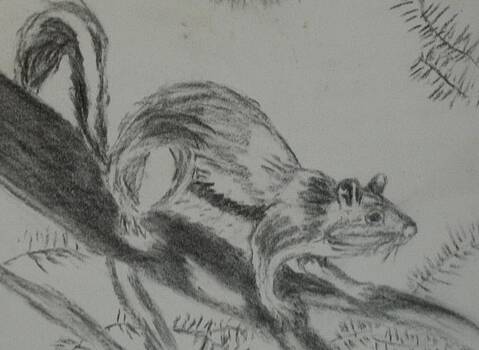 Thomasina Durkay - Chipmunk on the Prowl Thomasina Durkay - Chipmunk on the Prowl