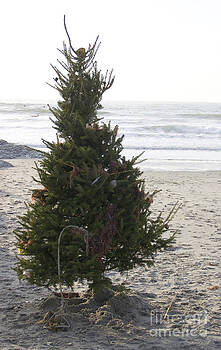 Michael Mooney - Christmas On The Beach 1 Michael Mooney - Christmas On The Beach 1