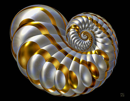 Manny Lorenzo - Chrysalis Shell Manny Lorenzo - Chrysalis Shell