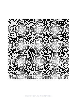 Martin Krzywinski - Clumpy Randomness on Hilbert Curve of Order 6 Martin Krzywinski - Clumpy Randomness on Hilbert Curve of Order 6