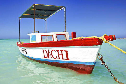 David Letts - Colorful Fishing Boat of the Caribbean David Letts - Colorful Fishing Boat of the Caribbean