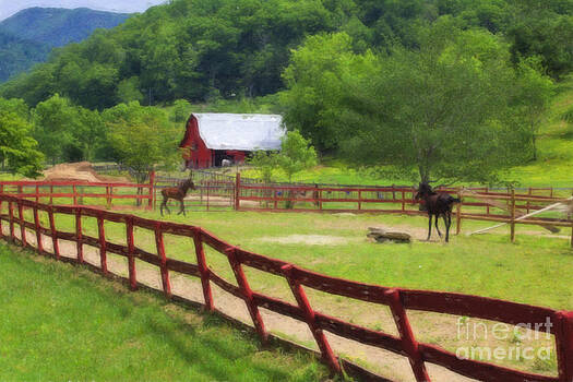 Jill Lang - Colts Running at a Farm Watercolor Jill Lang - Colts Running at a Farm Watercolor