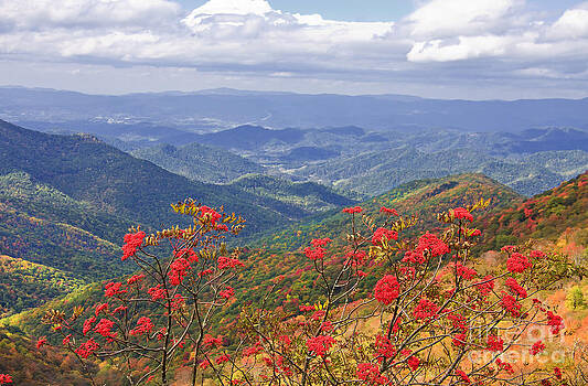 Jill Lang - Craggy Gardens in the Fall Jill Lang - Craggy Gardens in the Fall