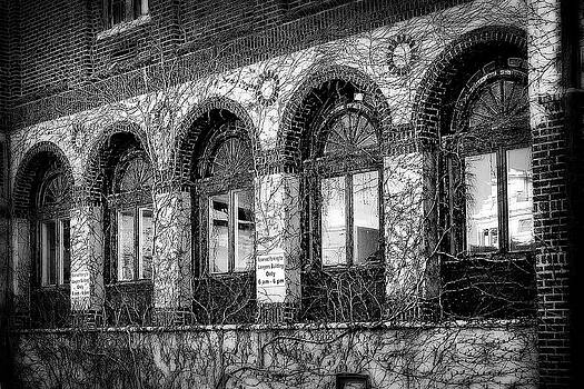 Scott Hovind - Creeping Vines Black and White Scott Hovind - Creeping Vines Black and White