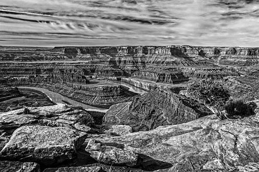 Wes and Dotty Weber - Dead Horse Point Tree In Black and White Wes and Dotty Weber - Dead Horse Point Tree In Black and White