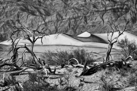 Wes and Dotty Weber - Death Valley Sand Dune Wes and Dotty Weber - Death Valley Sand Dune