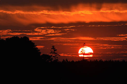Bill Swartwout Fine Art Photography - Denton Farm Sunset Bill Swartwout Fine Art Photography - Denton Farm Sunset