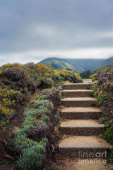 Ellen Cotton - Distant Montara Ellen Cotton - Distant Montara