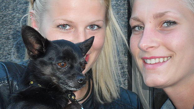 Teo SITCHET-KANDA - Dog And True Friendship 6 Teo SITCHET-KANDA - Dog And True Friendship 6