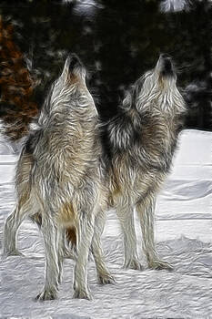 Wes and Dotty Weber - Dual Howl Wes and Dotty Weber - Dual Howl