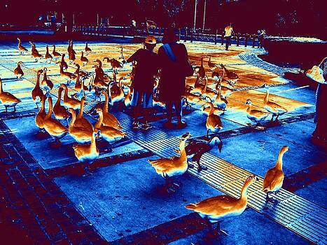 Anand Swaroop Manchiraju - DUCKS DUCKS AND DUCKS-3 Anand Swaroop Manchiraju - DUCKS DUCKS AND DUCKS-3