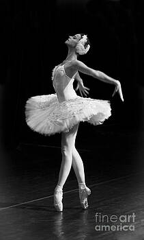 Clare Bambers - Dying Swan I. Clare Bambers - Dying Swan I.
