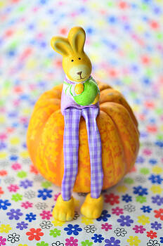 Gynt - Easter rabbit sitting on pumpkin Gynt - Easter rabbit sitting on pumpkin