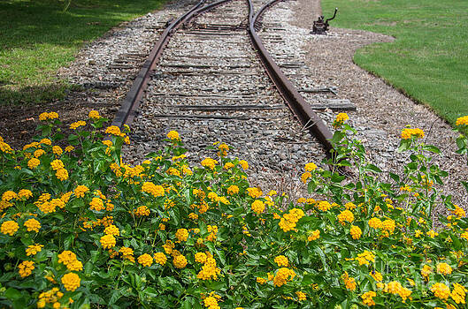 Dale Powell - End of the Line Dale Powell - End of the Line