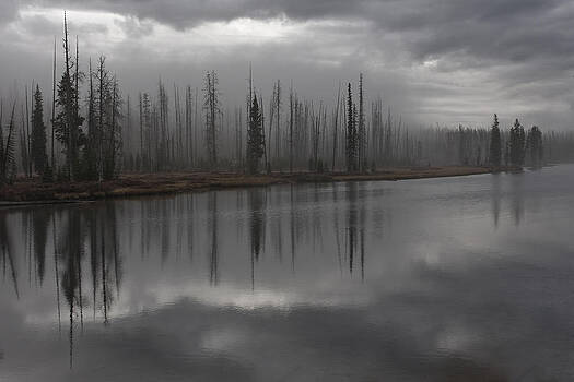 Wes and Dotty Weber - Enshrouded By Fog Wes and Dotty Weber - Enshrouded By Fog