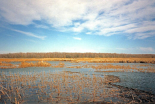 Marc Philippe Joly - etang Marc Philippe Joly - etang