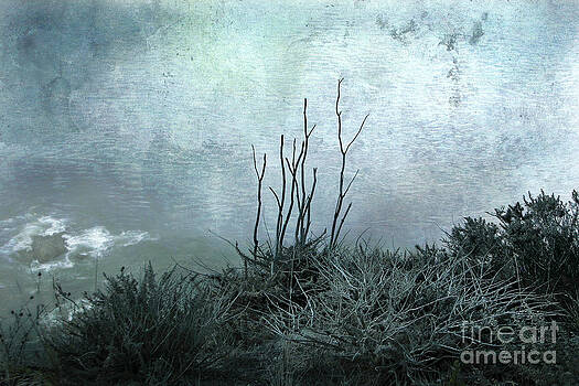 Ellen Cotton - Facing the Unknown Together Ellen Cotton - Facing the Unknown Together