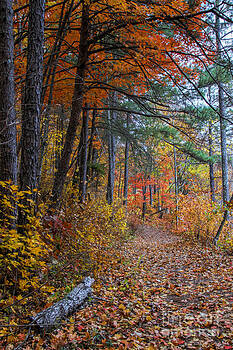 Barbara Bowen - Fall along the Upper Lake Trail Barbara Bowen - Fall along the Upper Lake Trail