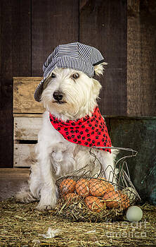 Edward Fielding - Farmer Dog Edward Fielding - Farmer Dog