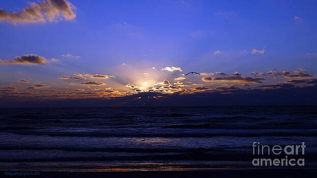 Gena Weiser - Florida Sunset Beyond the Ocean II Gena Weiser - Florida Sunset Beyond the Ocean II