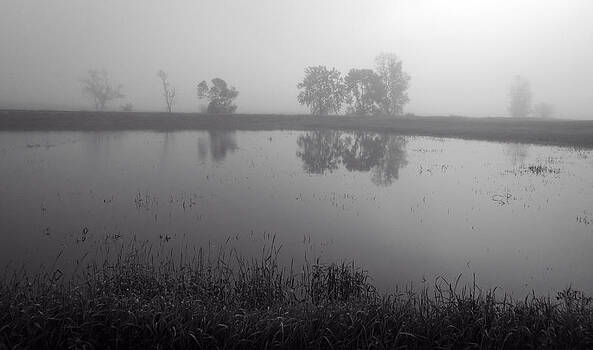 Ray Van Gundy - Foggy and Flooded Field Ray Van Gundy - Foggy and Flooded Field
