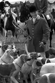 Harold E McCray - Fox Hunt II Harold E McCray - Fox Hunt II