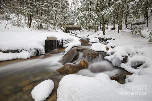 Erin Paul Donovan - Franconia Notch State Park - White Mountains New Hampshire USA - Flume Gorge Erin Paul Donovan - Franconia Notch State Park - White Mountains New Hampshire USA - Flume Gorge