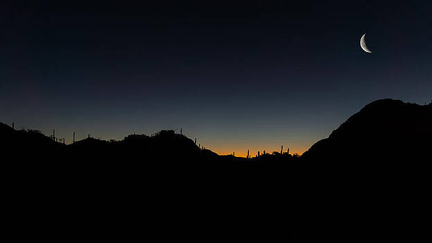 Chris Bordeleau - Gates Pass Waining moonset Chris Bordeleau - Gates Pass Waining moonset