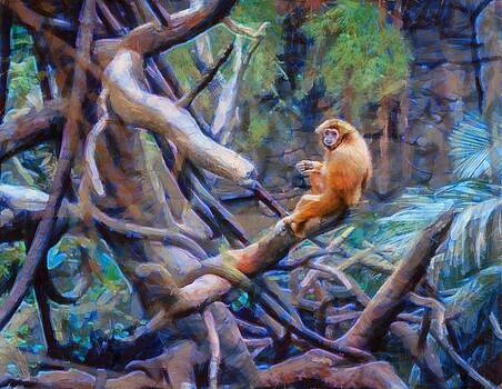 Ray Van Gundy - Gibbon in Tree Ray Van Gundy - Gibbon in Tree