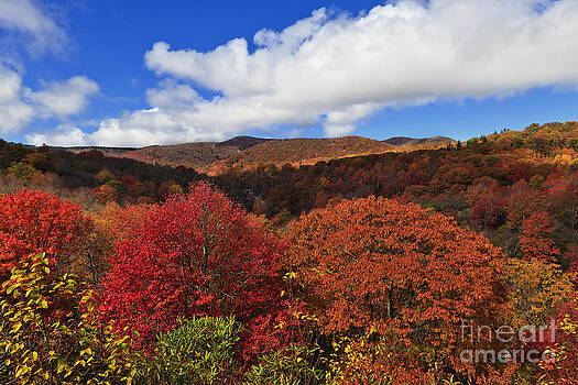 Jill Lang - Graveyard Fields Jill Lang - Graveyard Fields