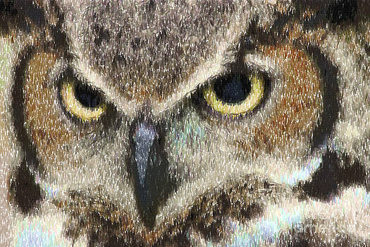 Jill Lang - Great Horned Owl in Colored Pencil Jill Lang - Great Horned Owl in Colored Pencil