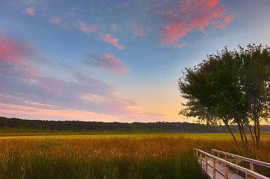 Sylvia J Zarco - Great Meadows Late Summer Setting Sylvia J Zarco - Great Meadows Late Summer Setting