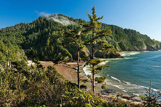 Lara Ellis - Heceta Head 1 Lara Ellis - Heceta Head 1