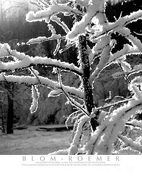 Kimberly Blom-Roemer - Hoar Frost on Tree Kimberly Blom-Roemer - Hoar Frost on Tree
