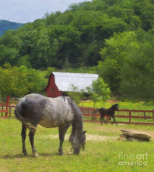 Jill Lang - Horse Farm Oil Painting Jill Lang - Horse Farm Oil Painting