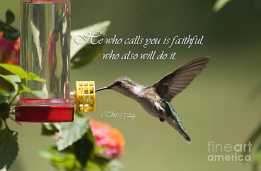 Jill Lang - Hummingbird with Scripture Jill Lang - Hummingbird with Scripture