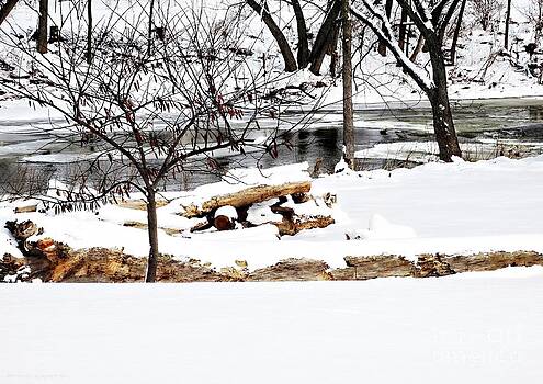 Gena Weiser - Huron River Gena Weiser - Huron River