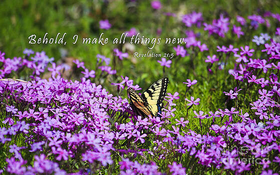 Jill Lang - I Make All Things New Jill Lang - I Make All Things New
