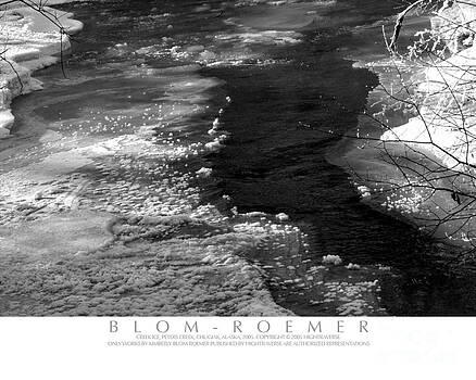 Kimberly Blom-Roemer - Ice Covered Creek Kimberly Blom-Roemer - Ice Covered Creek