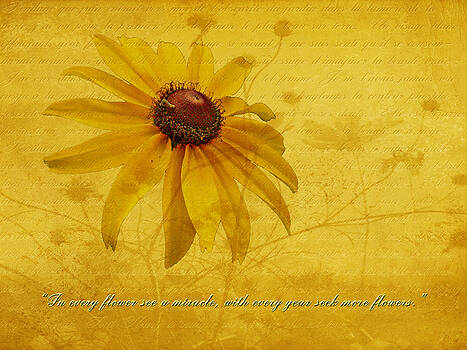 Mother Nature - In Every Flower See A Miracle Mother Nature - In Every Flower See A Miracle