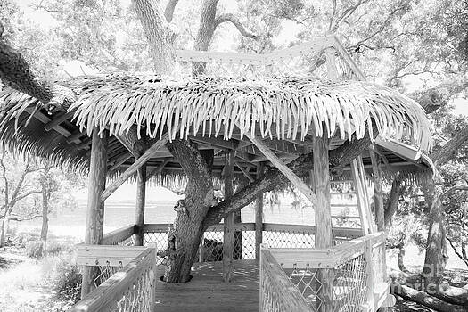 Dale Powell - Infrared Hut Dale Powell - Infrared Hut