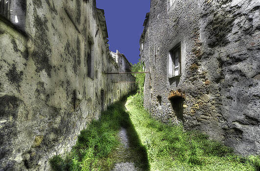 Enrico Pelos - INVASIVE VEGETATION IN THE MAIN STREET OF THE ABANDONED VILLAGE Enrico Pelos - INVASIVE VEGETATION IN THE MAIN STREET OF THE ABANDONED VILLAGE